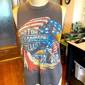 Harley Davidson re-worked tank